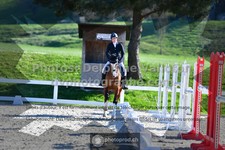 ref. photo 3551615