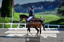 ref. photo 3551620