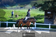 ref. photo 3551623