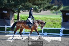 ref. photo 3551624