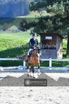 ref. photo 3551626