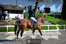 ref. photo 3551630