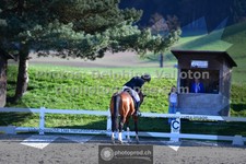 ref. photo 3551632