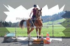 ref. photo 3551640