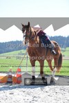 ref. photo 3551641