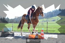 ref. photo 3551642