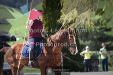 ref. photo 3551644