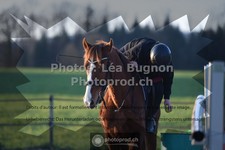 ref. photo 3551648