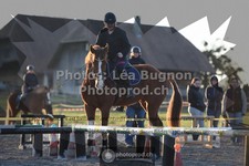 ref. photo 3551653