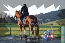 ref. photo 3551655
