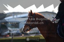 ref. photo 3551656