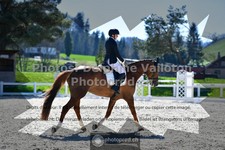 ref. photo 3551678