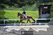 ref. photo 3551686