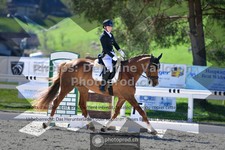 ref. photo 3551688