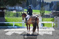 ref. photo 3551691