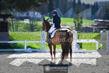 ref. photo 3551692