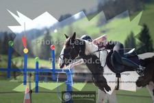 ref. photo 3551696