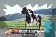 ref. photo 3551703