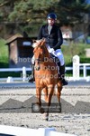 ref. photo 3551711