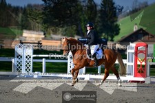 ref. photo 3551713