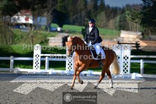 ref. photo 3551714