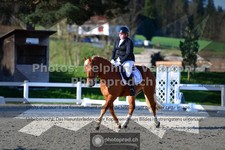 ref. photo 3551715