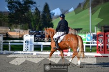 ref. photo 3551716