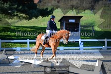 ref. photo 3551718