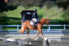ref. photo 3551719