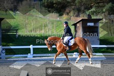 ref. photo 3551720
