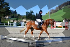 ref. photo 3551722