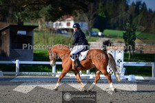 ref. photo 3551725