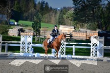 ref. photo 3551726