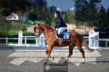 ref. photo 3551731