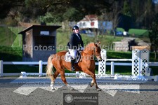 ref. photo 3551734