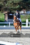 ref. photo 3551737