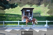 ref. photo 3551739
