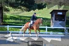 ref. photo 3551741