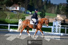 ref. photo 3551742