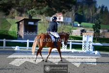 ref. photo 3551745