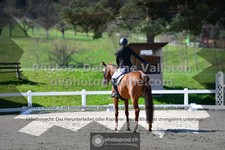 ref. photo 3551752