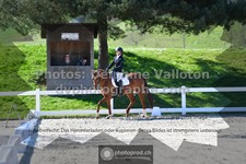 ref. photo 3551753
