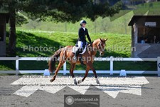 ref. photo 3551754