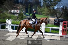 ref. photo 3551756
