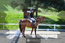 ref. photo 3551763