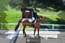 ref. photo 3551764