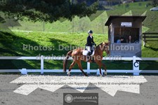 ref. photo 3551768