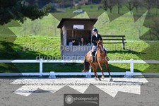 ref. photo 3551769