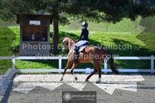 ref. photo 3551770