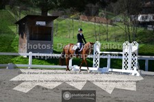 ref. photo 3551771